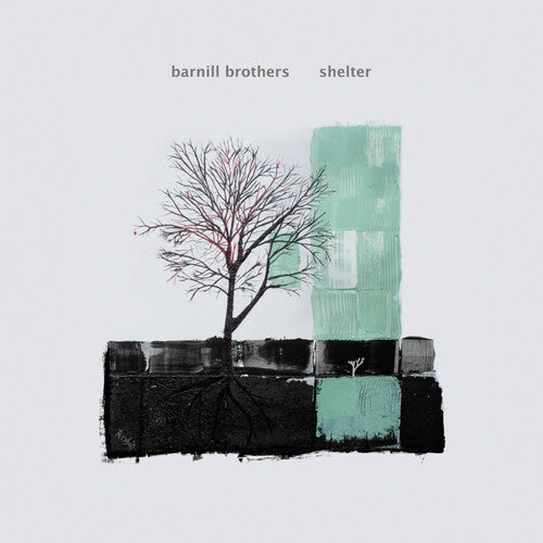 Barnill Brothers - Shelter