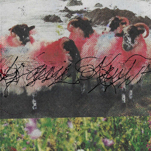 Kassie Krut - Kassie Krut