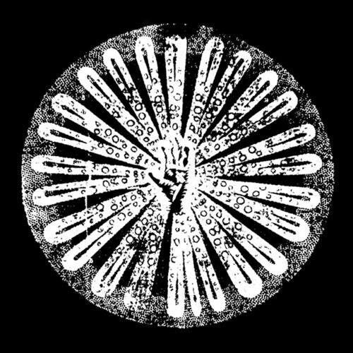 Filhos - Volume 2