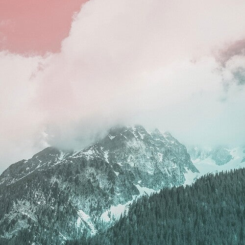 Tiago Sousa - Organic Music Tapes, Vol. 4