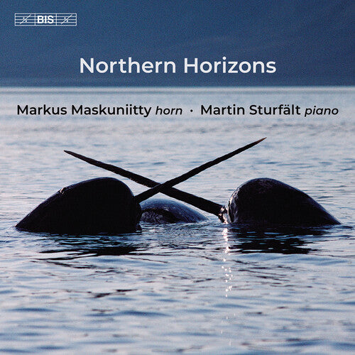 Markus Maskuniitty - Northern Horizons