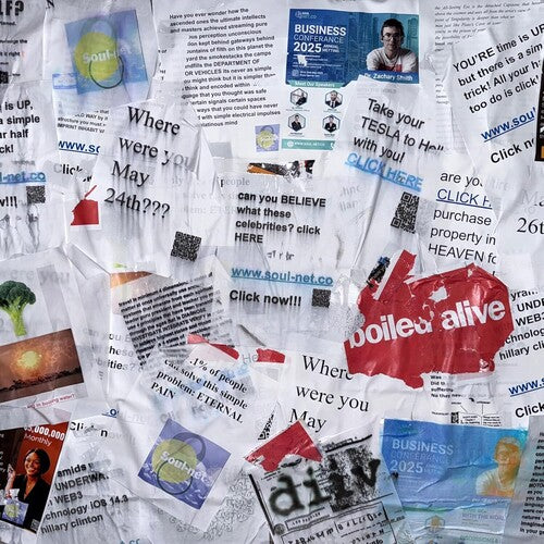 Diiv - Boiled Alive: Live at Teragram Ballroom