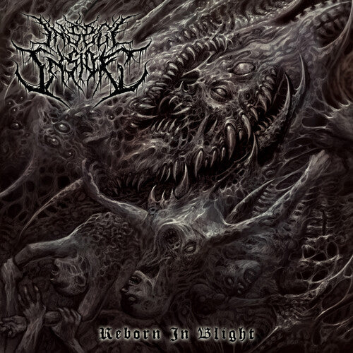 Insect Inside - Reborn In Blight