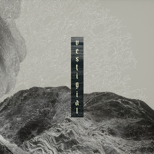 Vestigial - Descending Vastness