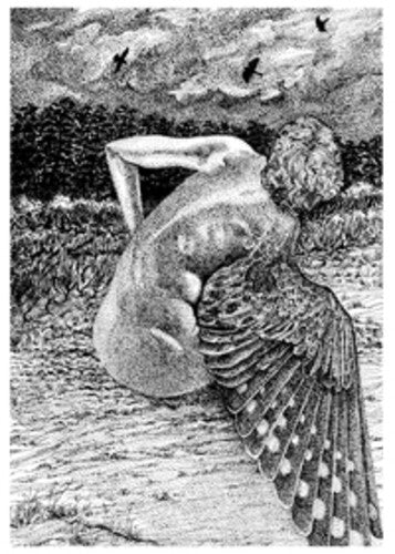 Patrick Lysaght - For The Birds