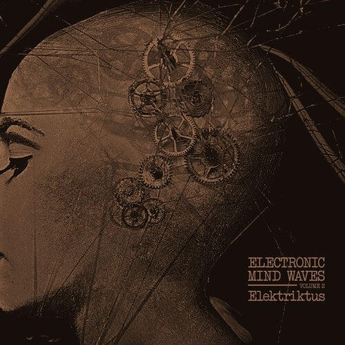 Elektriktus - Electronic Mind Waves, Vol. 2