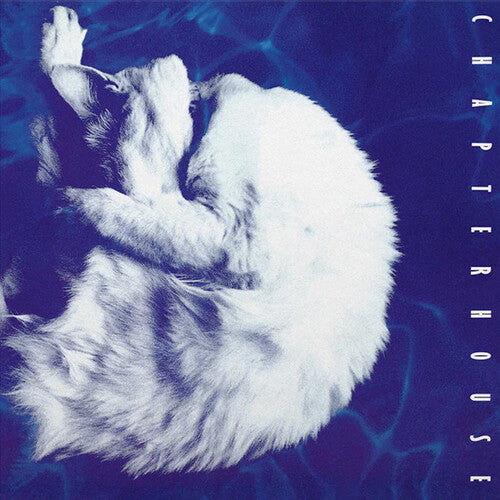 Chapterhouse - Whirlpool - Limited 180-Gram White & Black Marble Colored Vinyl