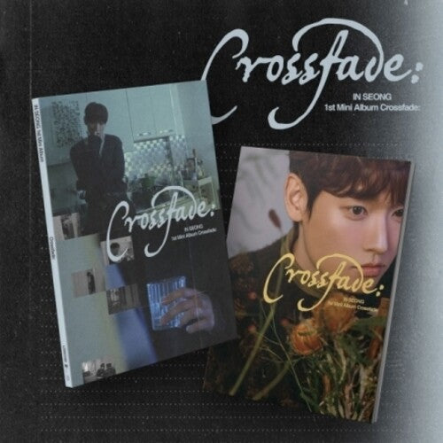In Seong - Crossfade - Random Cover