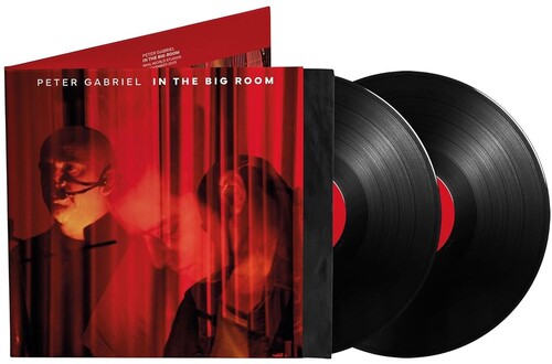 Peter Gabriel - In The Big Room