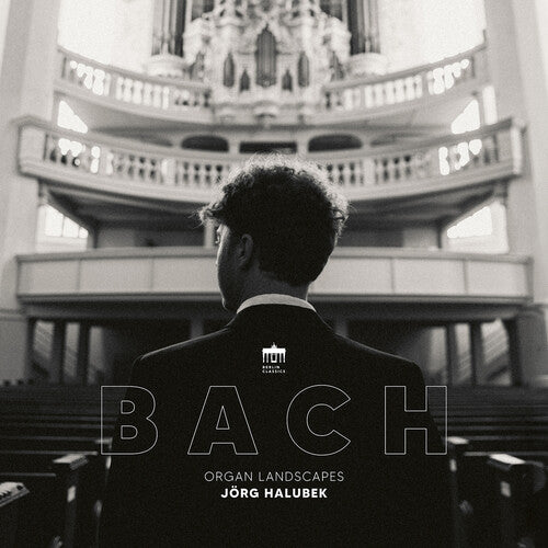 Jorg Halubek - Organ Landscapes