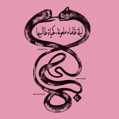 Radwan Moumneh Ghazi/ Federic Oberland D. - Eternal Life No End