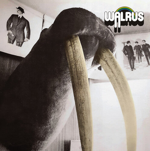 Walrus - Walrus