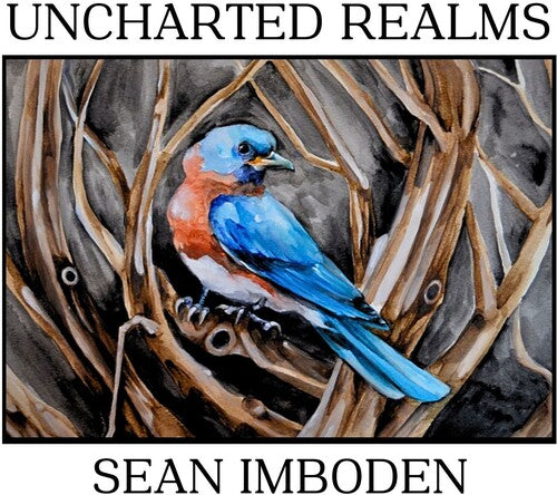 Sean Imboden - Uncharted Realms