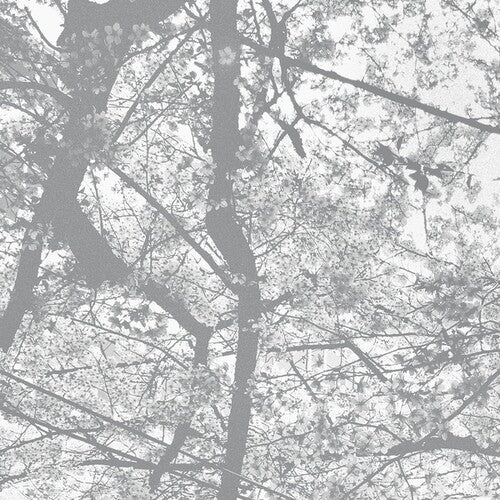 Black Rain - Obliteration Bliss