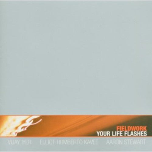 Fieldwork - Your Life Flashes