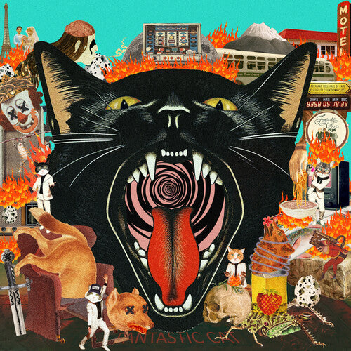 Fantastic Cat - Cat Out Of Hell