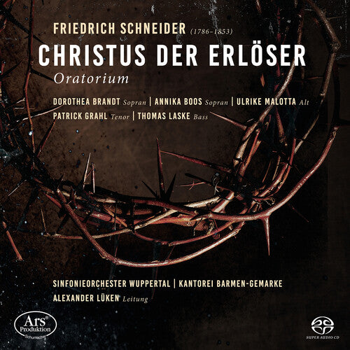 Dorothea Brandt - Christus der Erloser