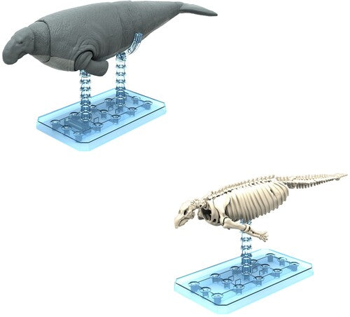 Bandai Hobby - Plannosaurus - #08 Hydrodamalis Gigas Model Kit