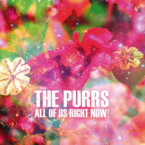 Purrs - All of Us Right Now!