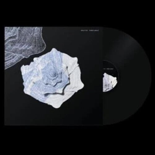 Fabio Anile - Minutiae