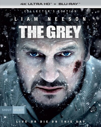 The Grey