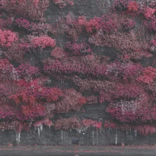 Sleep Token - Even In Arcadia - Limited Milky Colored Vinyl