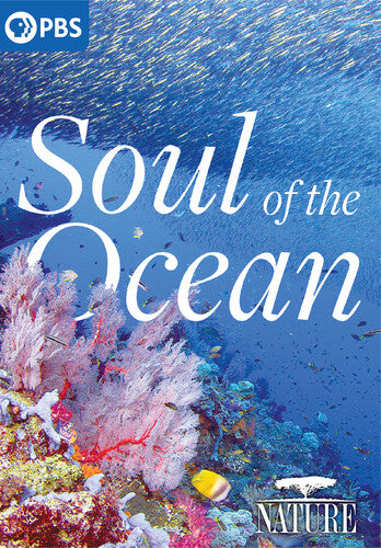 NATURE: Soul of the Ocean