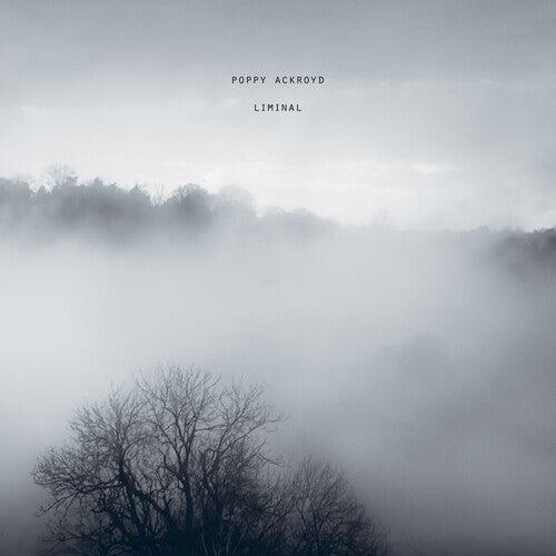 Poppy Ackroyd - Liminal