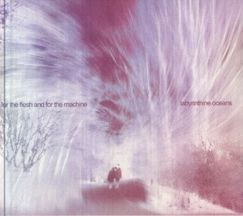 Labyrinthine Oceans - For The Flesh & For The Machine