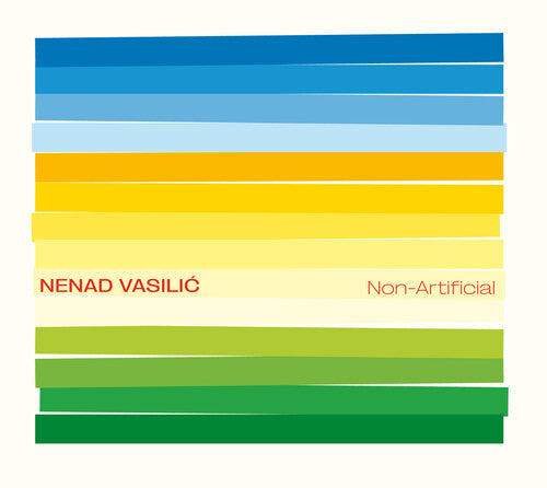 Nenad Vasilic - Non Artificial