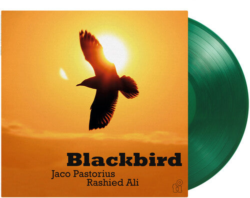 Jaco Pastorius - Blackbird
