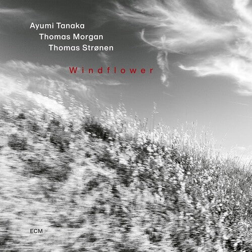 Ayumi Tanaka / Thomas Morgan / Thomas Stronen - Windflower