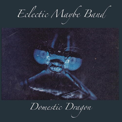 Eclectic Maybe Band - Domestic Dragon