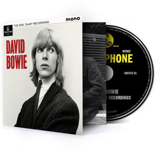 David Bowie - The Shel Talmy Recordings