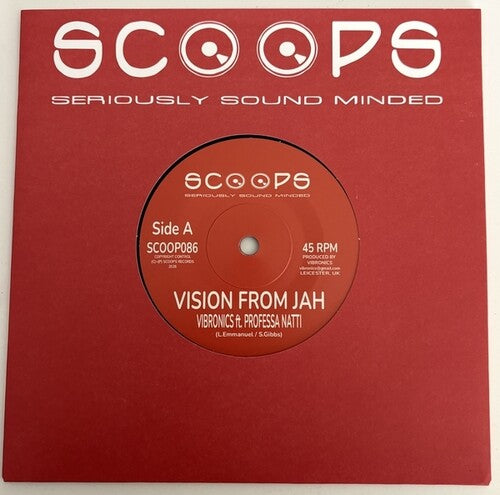 Vibronics Feat. Professa Natti - Vision From Jah