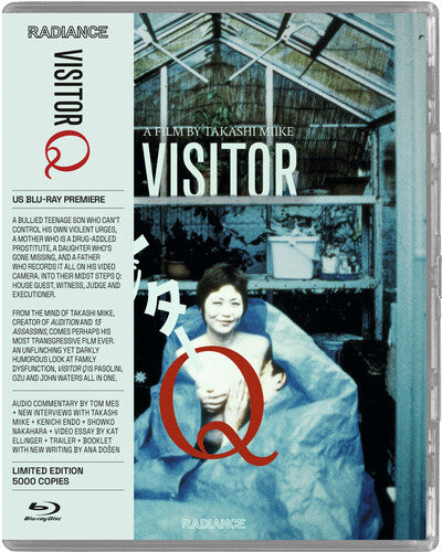Visitor Q