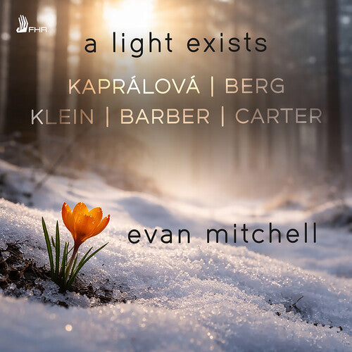 Evan Mitchell - A Light Exists