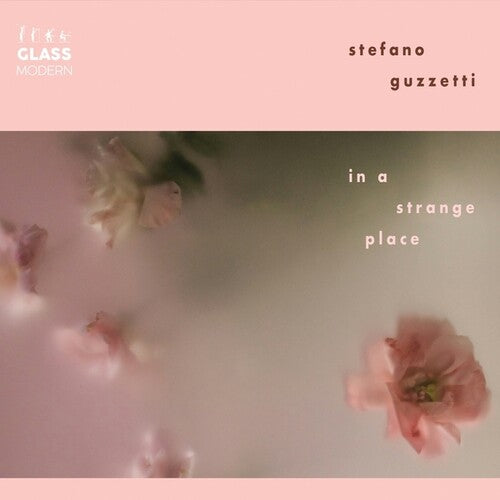 Stefano Guzetti - In A Strange Place