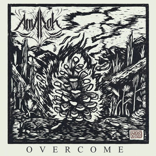 Amarok - Overcome