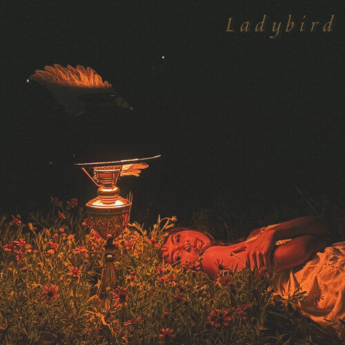 Orca - Ladybird EP