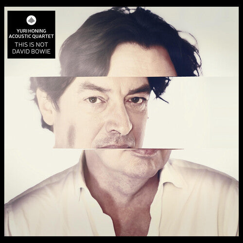 Yuri Honing Acoustic Quartet - This is not David Bowie
