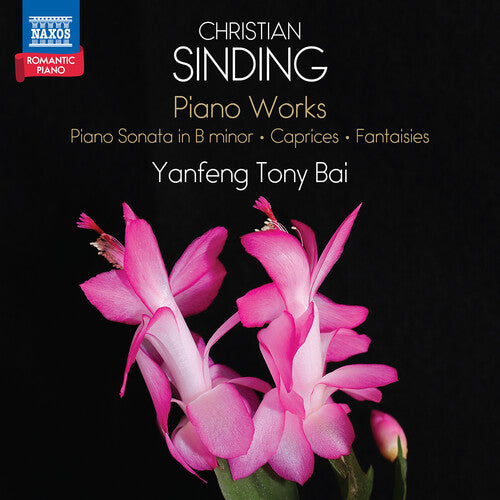 Yvnfeng Bai Tony - Sinding: Pno Works