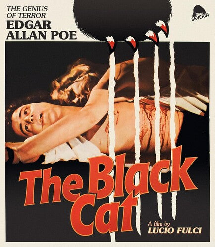 The Black Cat