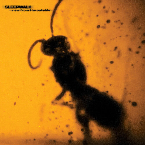 Sleepwalk - View From the Outside