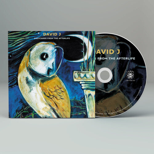 David J - Postcards From the Afterlife