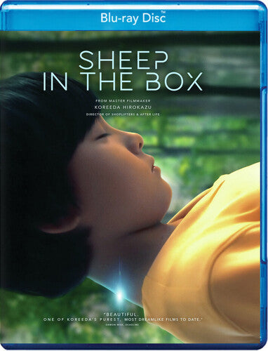 Sheep in the Box