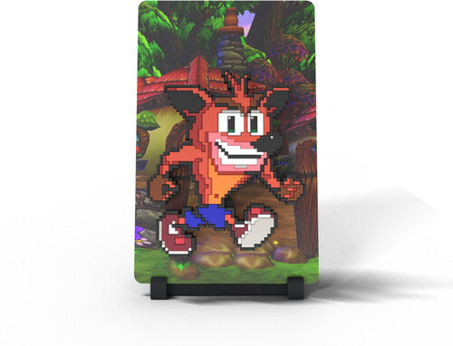FiGGYZ - Crash Bandicoot - The Hero Evolved Magnetic Collectible