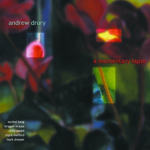 Andrew Drury - Momentary Lapse