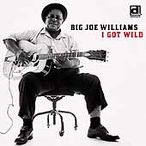 Big Williams Joe - I Got Wild