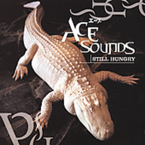 Ace Sounds - Still Hungry
